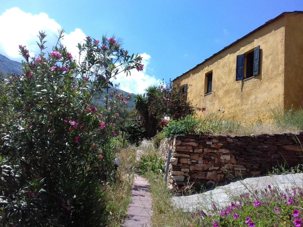 Ikarian Centre - Accommodation & Mountain Hiking Evdilos  Exterior photo