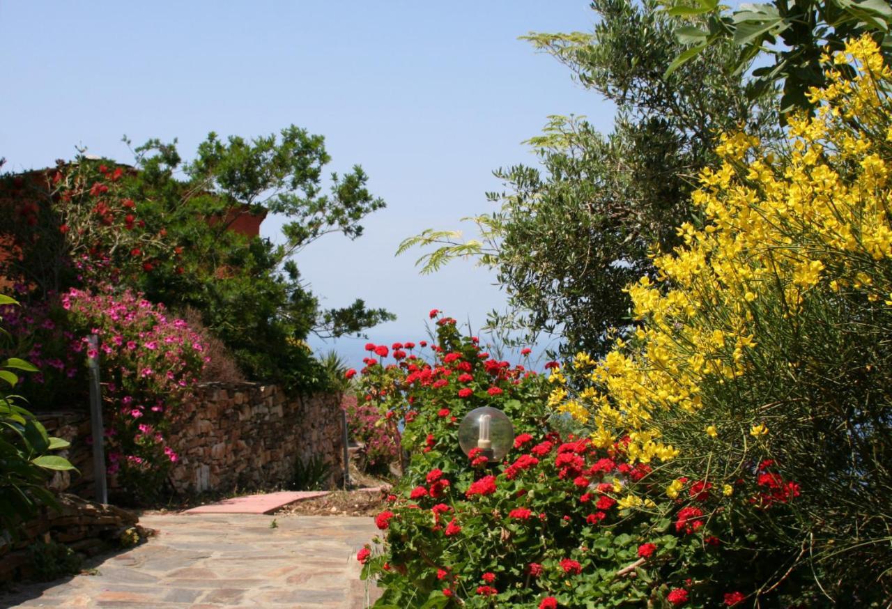 Ikarian Centre - Accommodation & Mountain Hiking Evdilos  Exterior photo